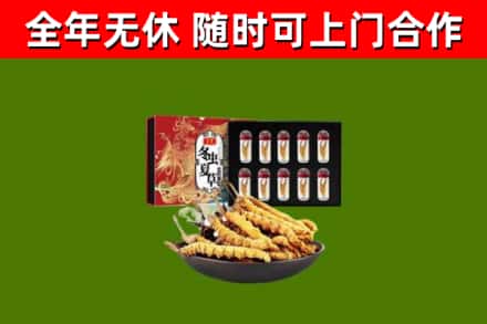 鸠江区回收冬虫夏草价格