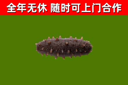 鸠江区烟酒回收干海参.jpg